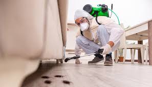 Best Bed Bug Extermination  in Rancho Santa Margarita, CA